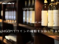 lgbm load_wine